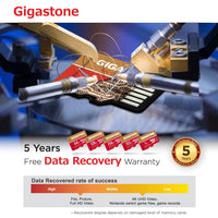 [5-Yrs Free Data Recovery] Gigastone 256GB 2-Pack Micro SD Card, 4K Game Pro MAX, A2 V30 MicroSDXC Memory Card for Nintendo-Switch, 4K UHD Video, Up to 130/85 MB/s, UHS-I U3 C10 with Adapter
