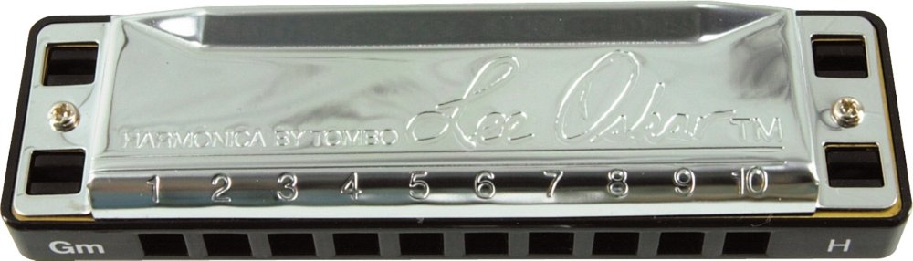 Lee Oskar Lee Oskar 1910H 1710H G Harmonic Minor Harmonica Bb Minor