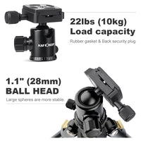 K&F Concept 62'' DSLR Tripod, Lightweight and Compact Aluminum Camera Tripod with 360 Panorama Ball Head Quick Release Plate for Travel and Work (TM2324 Black)