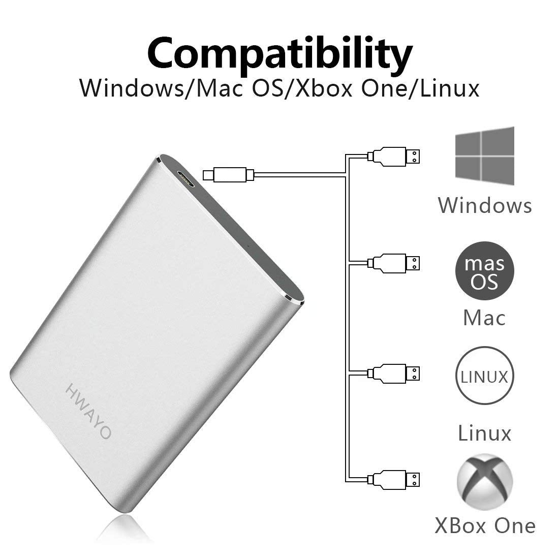 HWAYO 160GB Portable External Hard Drive, USB3.1 Gen 1 Type C Ultra Slim 2.5'' HDD Storage Compatible for PC, Desktop, Laptop, Mac, Xbox One (Silver)