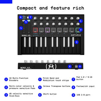 Arturia MiniLab MKII Inverted MIDI Controller Black