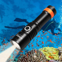 Sports, Fitness & Outdoors  Water Sports  Diving & Snorkeling  Diving Lights