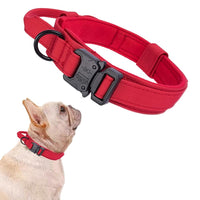 Pet Supplies  Dogs  Collars, Harnesses & Leashes  Collars  Basic Collars