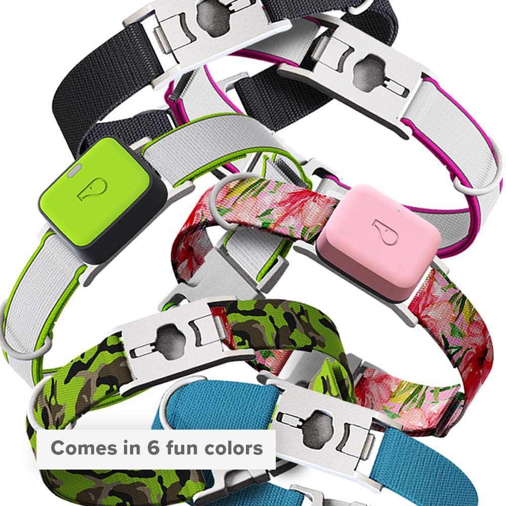 Whistle GO/GO Explore/Twist & Go Pet Collars -L