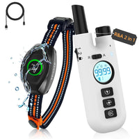 Pet Supplies  Dogs  Collars, Harnesses & Leashes  Collars  Basic Collars