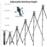 SIRUI Compact Carbon Fiber Travel Tripod 5 Leg Sections Twist Leg Locks Camera Tripod with 360 Degree B-00K Ball Head and Arca Swiss Quick Release Plate, Loads up 6KG