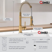 Gimili Single Handle Kitchen Sink Faucet with Pull Down Sprayer Stainless Steel Spring kitchen faucet Brushed Gold