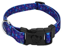 Pet Supplies  Dogs  Collars, Harnesses & Leashes  Collars  Basic Collars