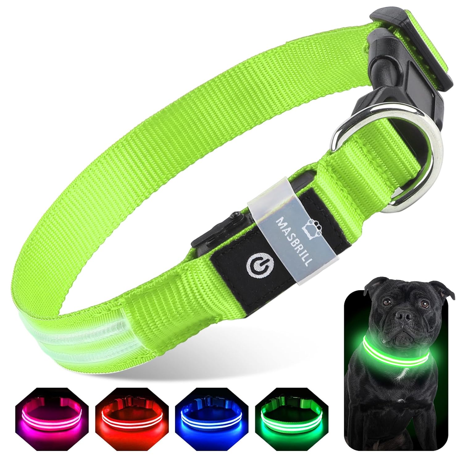 Pet Supplies  Dogs  Collars, Harnesses & Leashes  Collars  Basic Collars