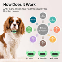 MASBRILL Small Dog Bark Collar-Anti Barking Collar for Dogs-Rechargeable No Shock Bark Collars with Adjustable Sensitivity and Intensity Beep Vibration Bark Control Collar for Small Medium Puppy Dogs