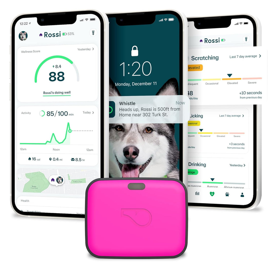 Whistle Go Explore - Ultimate Health & Location Tracker for Pets - Waterproof GPS Pet Tracker, Built-in Night Light, 20 Day Battery, Pet Fitness Tracker fits on collar