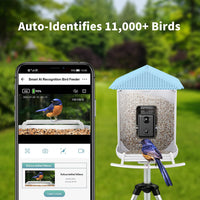 Yukhsin AI Smart Bird Feeder with Camera Solar Powered - 1080P HD Camera for Bird Watching Auto-Identifies 11,000+ Birds, 128GB Micro SD Card Included, Real-Time Viewing, 30 Days Free Cloud Storage