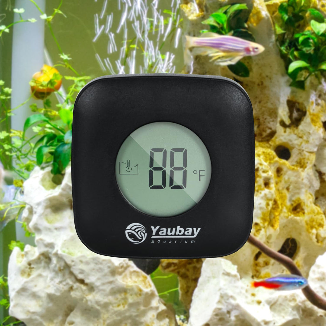 Yaubay Magnetic Aquarium Thermometer Glass Cleaner 2 in 1 Fish Tank Digital Temperature Gauge with Floating Algae Cleaner Brush Tool for Small 1/4 Inch Thick Glass Freshwater and Saltwater Tanks