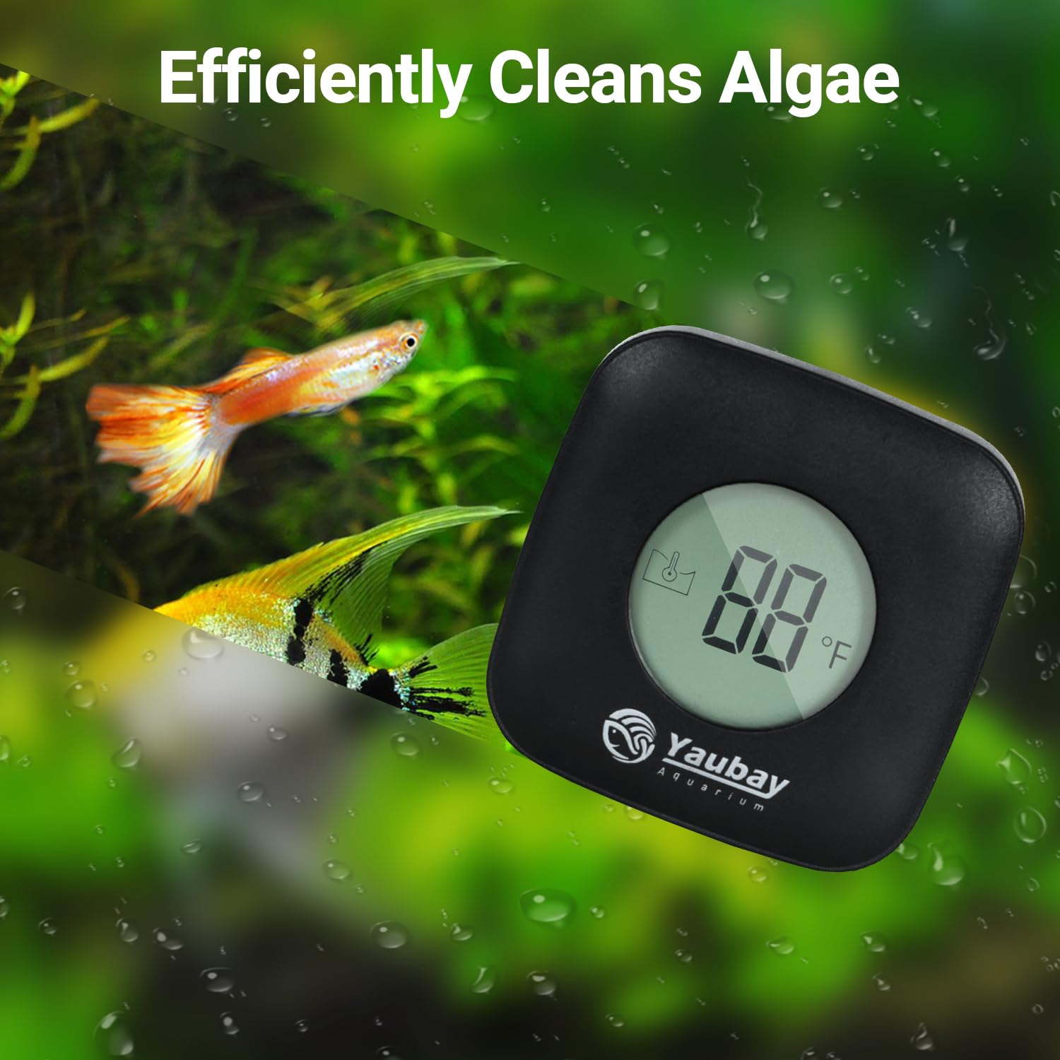 Yaubay Magnetic Aquarium Thermometer Glass Cleaner 2 in 1 Fish Tank Digital Temperature Gauge with Floating Algae Cleaner Brush Tool for Small 1/4 Inch Thick Glass Freshwater and Saltwater Tanks
