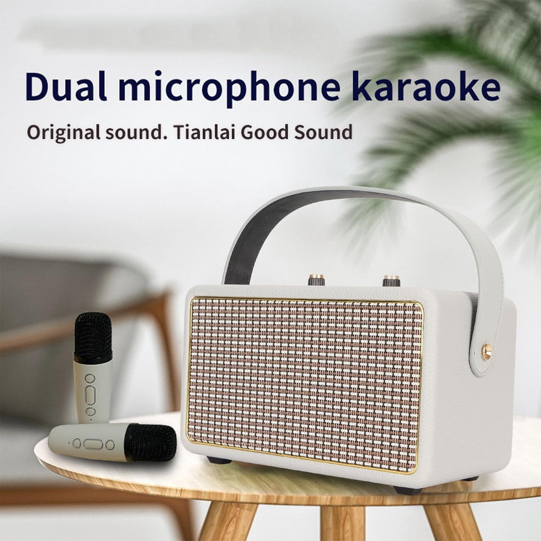 Sanpyl Portable Karaoke Machine with 2 Wireless Microphones, Bluetooth Speaker, Microphone Set, PA System, AUX USB Memory Card Holder, for Home and Outdoor