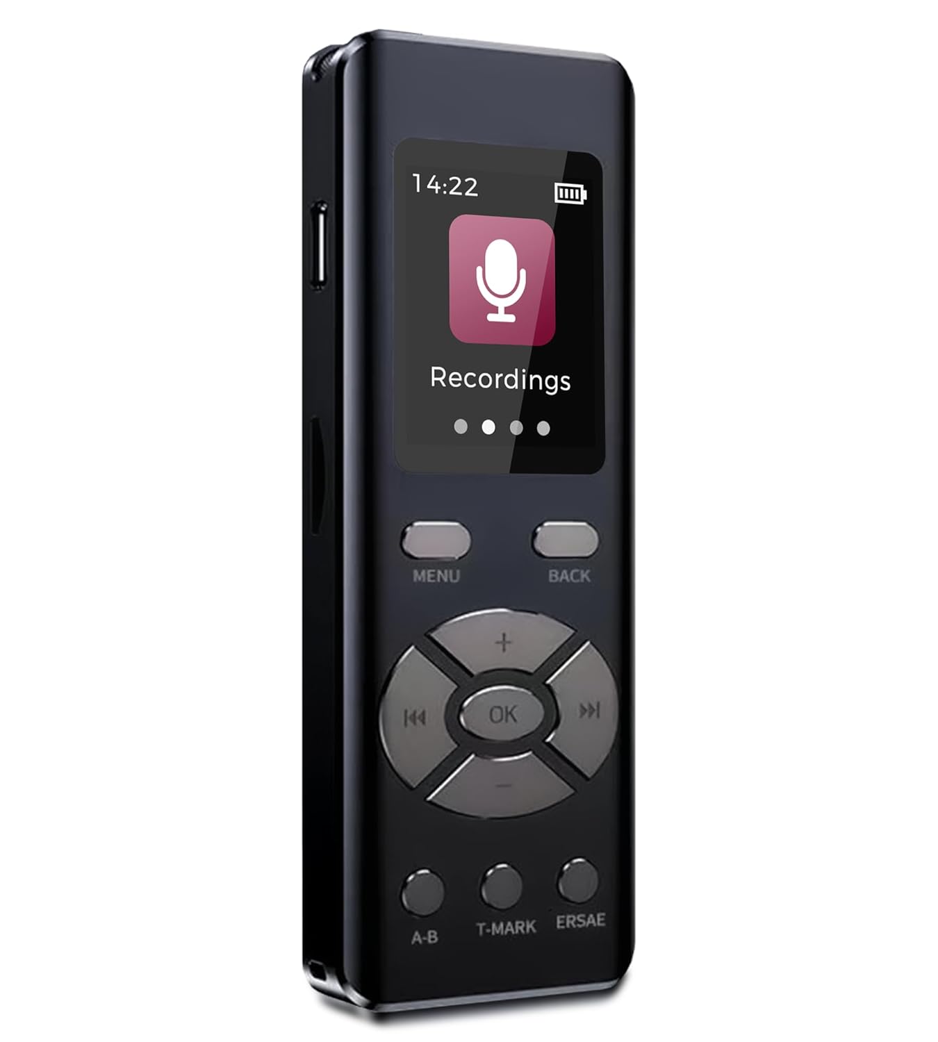 Office Products  Office Electronics  Voice Recorders & Accessories  Digital Voice Recorders