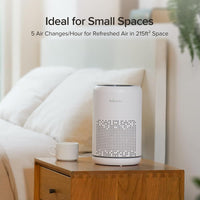 Compact Desktop Air Purifier - True HEPA Filter, Whisper-Quiet Operation, Energy-Efficient - Captures 99.97% of A11ergens, Dust, and Odors - Ideal for Home, Office, and Bedroom - Model: AC300