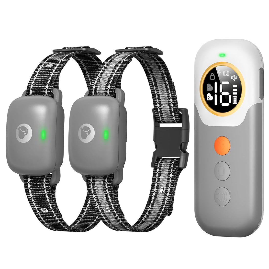 Pet Supplies  Dogs  Collars, Harnesses & Leashes