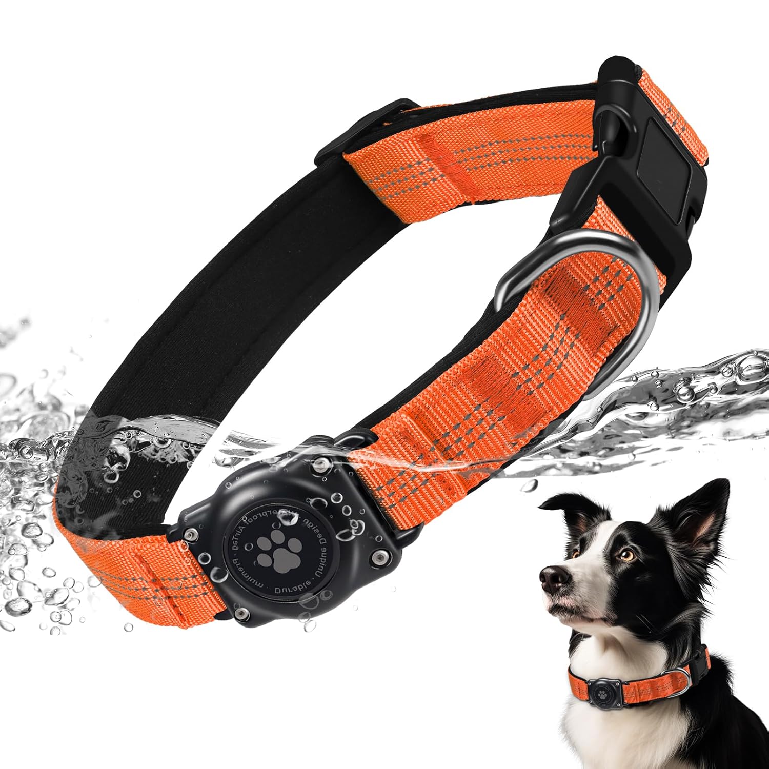 Pet Supplies  Dogs  Collars, Harnesses & Leashes  Collars  Basic Collars