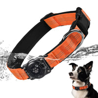 Pet Supplies  Dogs  Collars, Harnesses & Leashes  Collars  Basic Collars