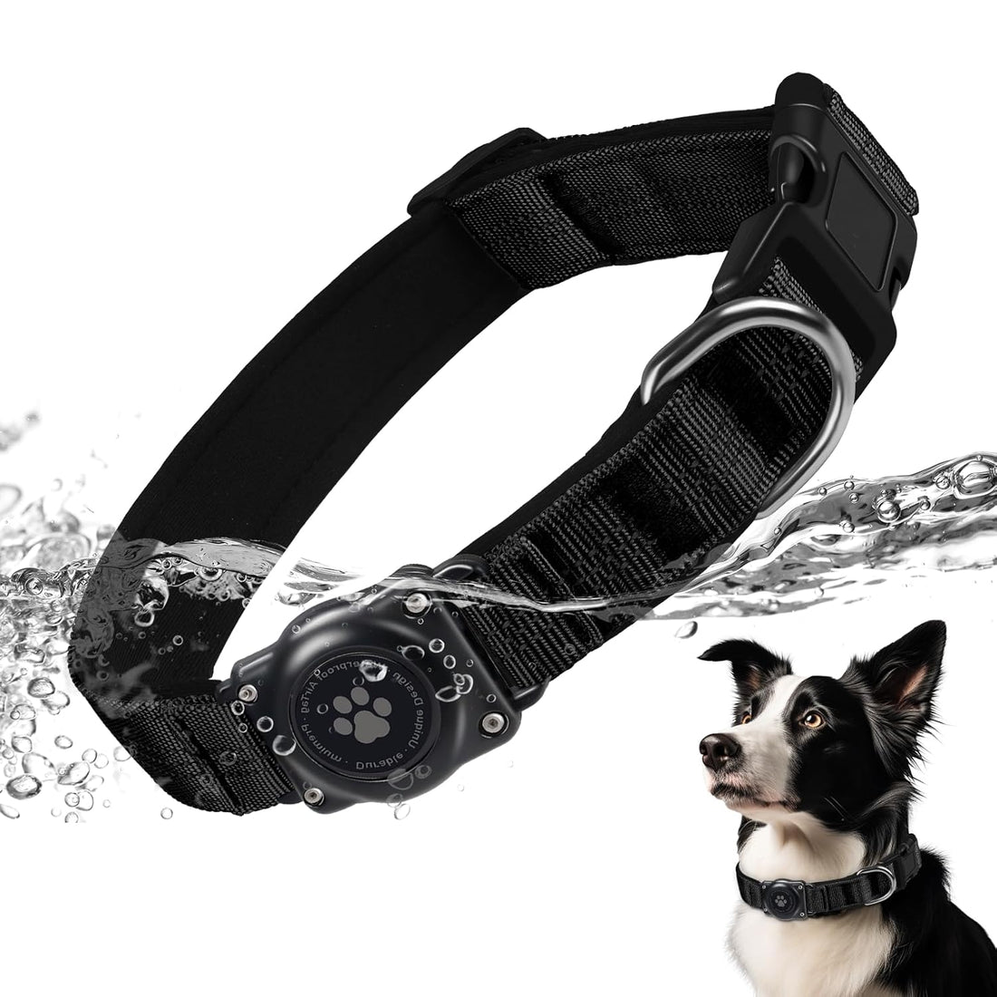 Pet Supplies  Dogs  Collars, Harnesses & Leashes  Collars  Basic Collars