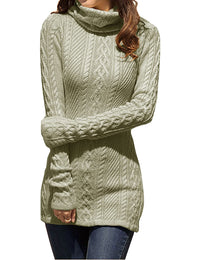 v28 Women Polo Neck Korea Knit Stretchable Elasticity Long Slim Sweater (6-10, Softgrass)
