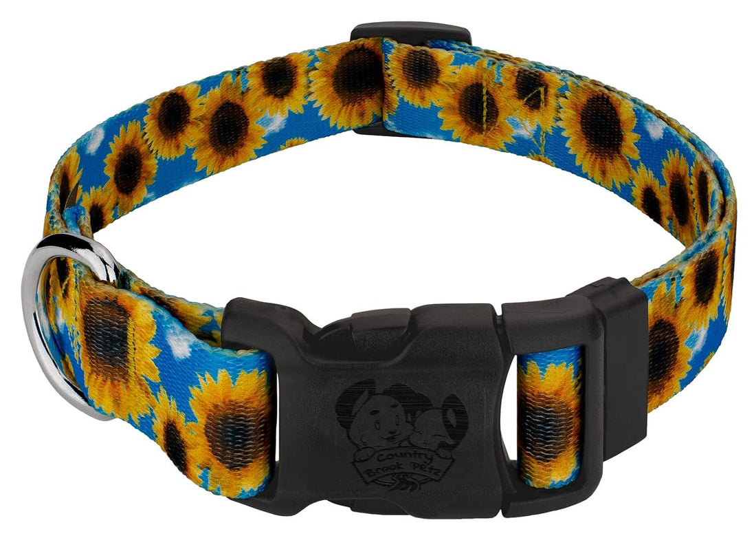 Country Brook Petz Deluxe Sunflowers Dog Collar - Floral Collection with 8 Charming Designs (1 Inch, Medium)