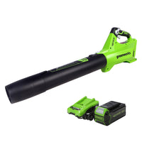Outdoor Living  Mowers & Outdoor Power Tools  Leaf Blowers, Vacuums & Accessories  Blowers