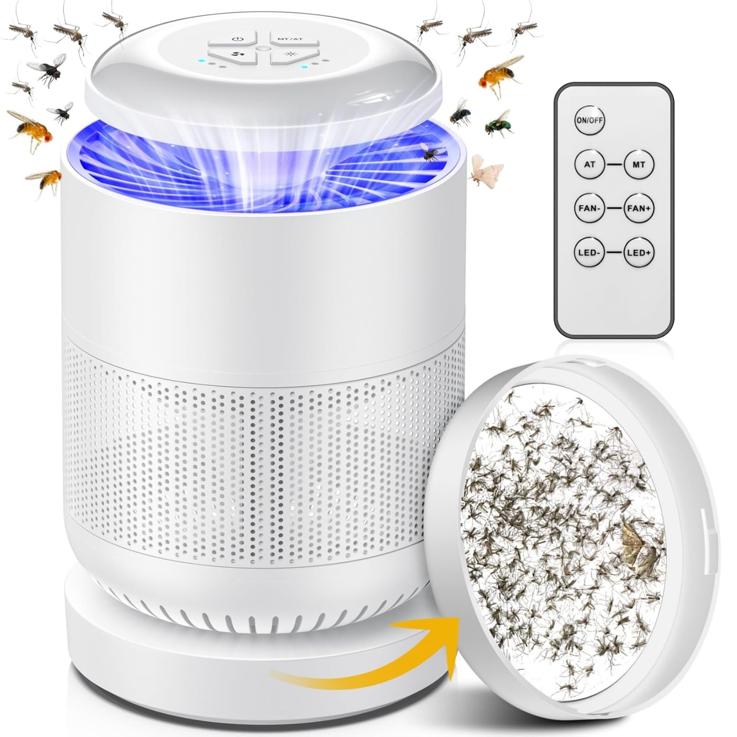 Outdoor Living  Pest Control  Traps