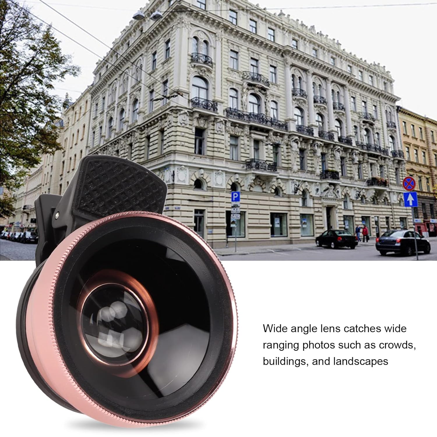 2 in 1 Cell Phone Lens Kit, 0.45X Wide Angle 12.5X Macro Phone Camera Lens, Professional Cell Phone Lens with Clip, Detachable HD Lens with Storage Bag, Compatible with Phones and Tablets(Rose Gold)