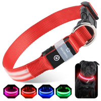 Pet Supplies  Dogs  Collars, Harnesses & Leashes  Collars  Basic Collars