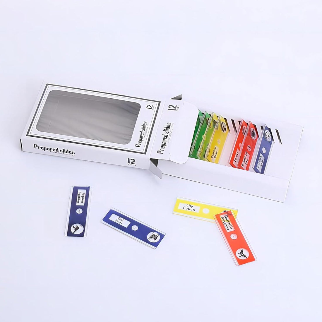 Toys & Games  Learning & Education