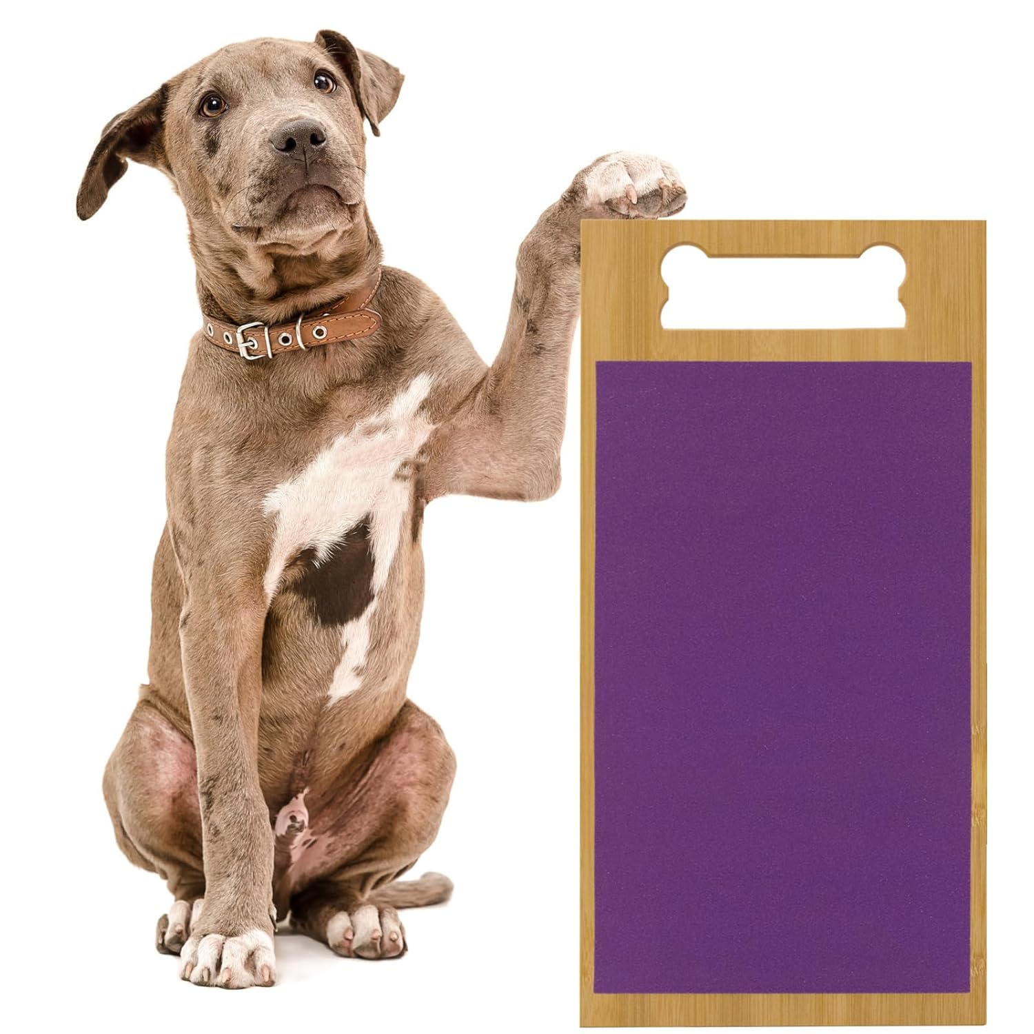 Pet Supplies  Cats  Grooming  Claw Care