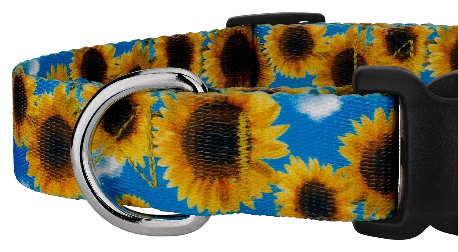 Country Brook Petz Deluxe Sunflowers Dog Collar - Floral Collection with 8 Charming Designs (1 Inch, Medium)