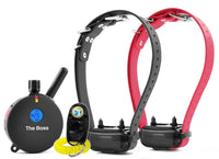 Pet Supplies  Dogs  Collars, Harnesses & Leashes  Collars