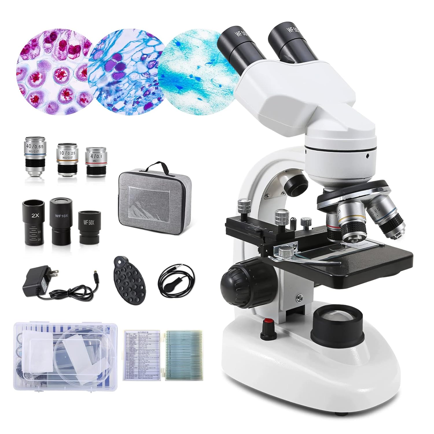 Electronics  Cameras & Photography  Binoculars, Telescopes & Optics  Microscopes  Compound Microscopes