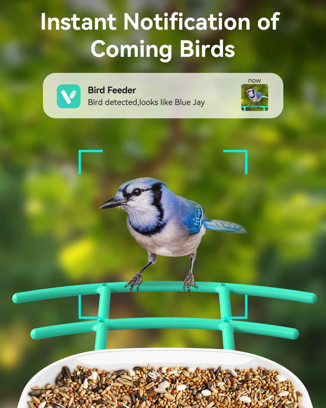 Smart Bird Feeder with Camera Solar Panel,1080P HD Camera APP Notify Auto Capture Bird Videos & Motion Detection,AI Identify 16000 Bird Species for Outside Wireless Watching Bird