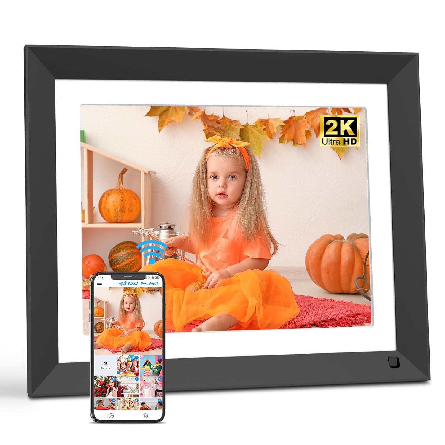 Electronics  Cameras & Photography  Accessories  Digital Picture Frames