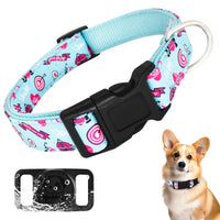 Pet Supplies  Dogs  Collars, Harnesses & Leashes  Collars  Basic Collars