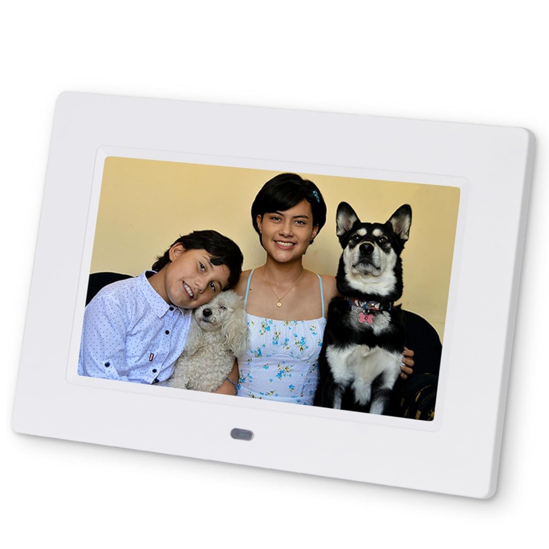 Electronics  Cameras & Photography  Accessories  Digital Picture Frames