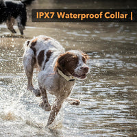PATPET Dog Training Collar for Large Medium Dogs
