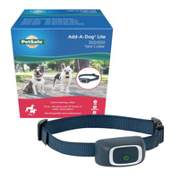Pet Supplies  Dogs  Collars, Harnesses & Leashes  Collars  Basic Collars