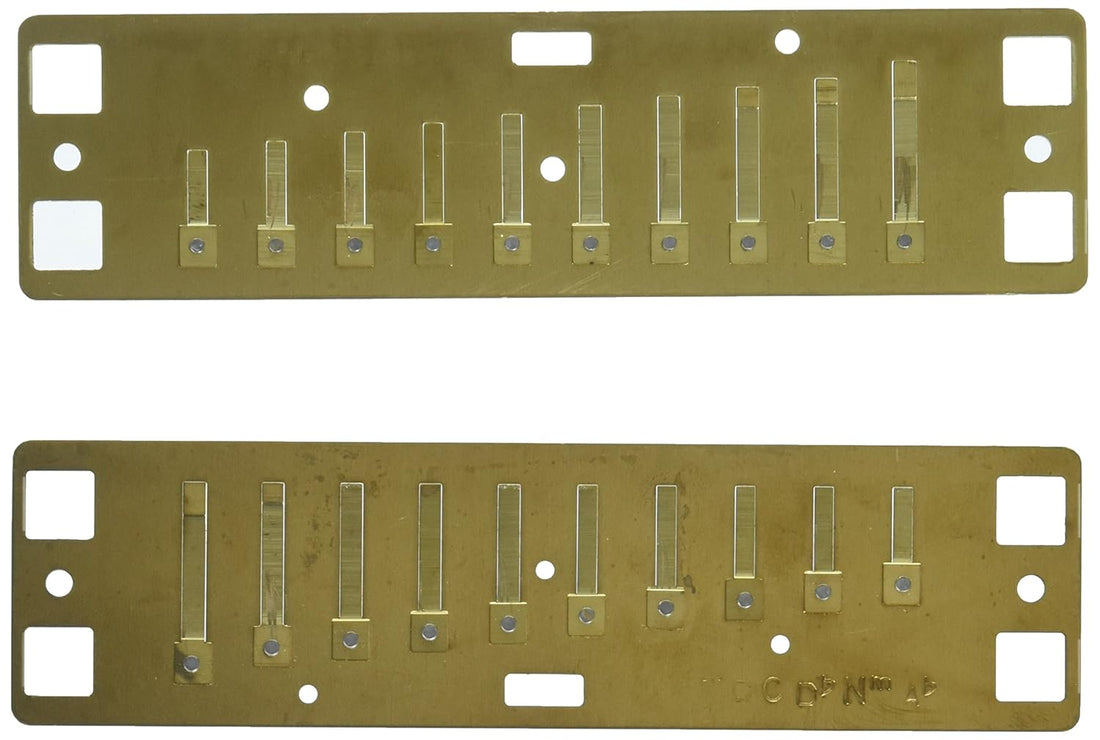 Lee Oskar Harmonicas Harmonica (1910NRP)