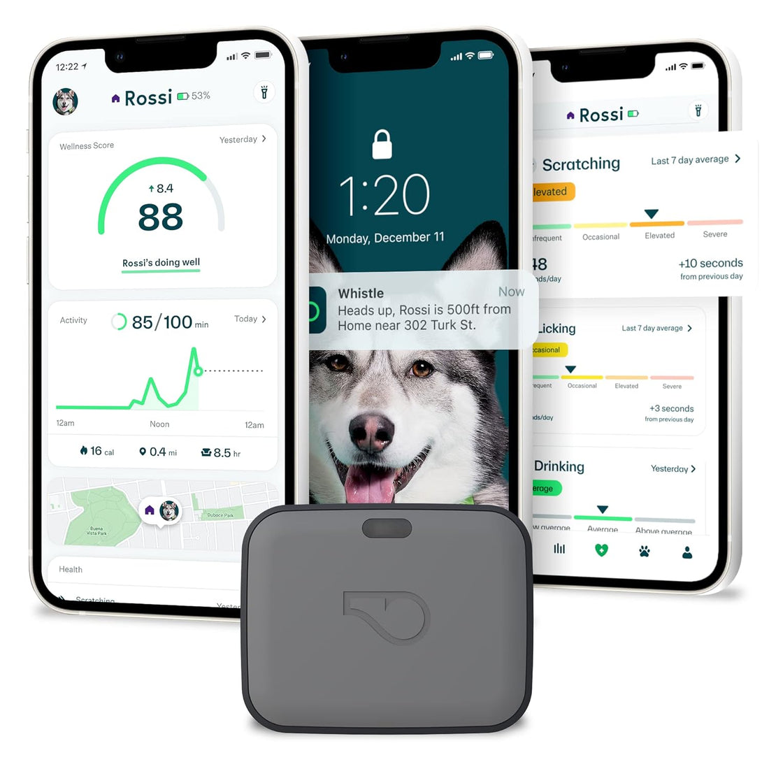 Whistle Go/Health & Location Tracker for Pets