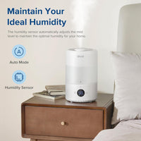 LEVOIT 3L Top Fill Humidifier, 360° Rotating Nozzle Cool Mist Humidifier, 300 ml/H Mist Volume, 26 dB Quiet, 25H BPA-Free Room Humidifier & Aroma Diffuser for Children's Room, Bedroom, Plants