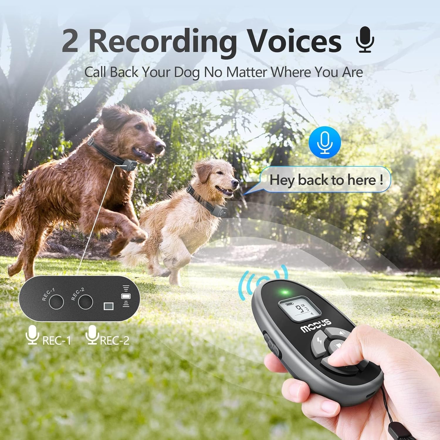 MODUS Dog Training Collar with Remote - 4 Modes Dog Shock Collar, Recording Playback, Beep, Vibration Anti Barking Device to Stop Dog Unwanted Behavior, Rechargeable Bark Collar for All Sized Dogs