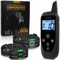 Pet Supplies  Dogs  Collars, Harnesses & Leashes  Collars  Basic Collars