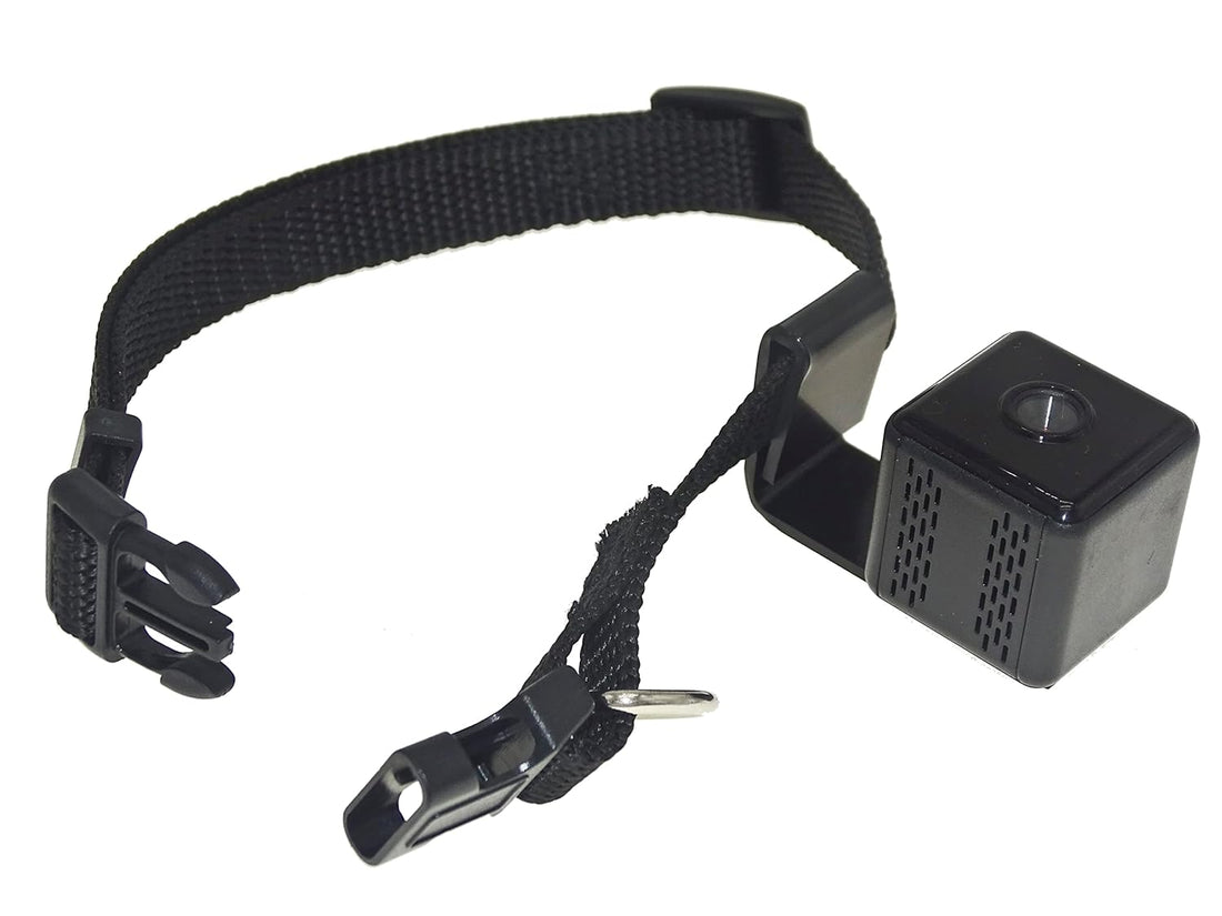 Pet Supplies  Dogs  Pet Cameras