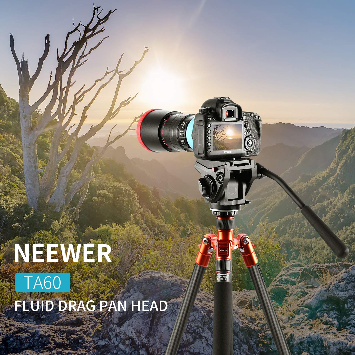Neewer Heavy Duty Video Camera Tripod Fluid Drag Pan Head with 1/4 and 3/8 '' Screws Sliding Plate for DSLR Cameras Video Camcorders Shooting Filming,up to 11 pounds/5 Kilograms(Aluminum Alloy)