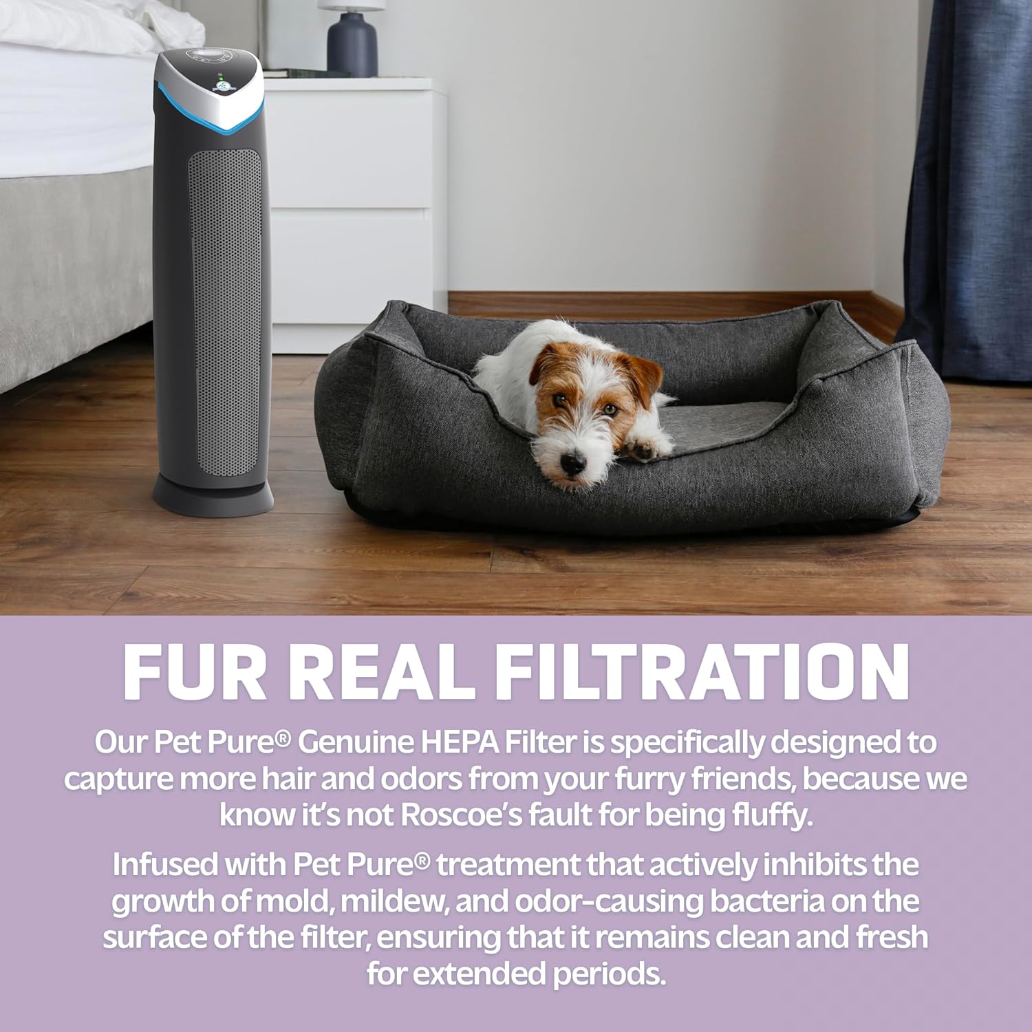 GermGuardian AC5250PT 3-in-1 Air Purifier with Pet Pure True HEPA Filter, UV-C Sanitizer, Captures Allergens, Smoke, Odors, Mold, Dust, Germs, Pets, Smokers, 28-Inch Germ Guardian Air Purifier